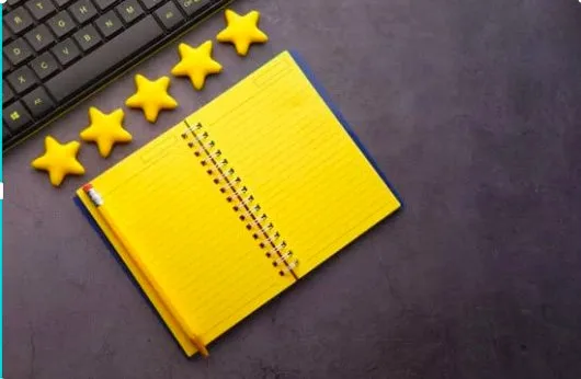 Recognition and Reward Systems